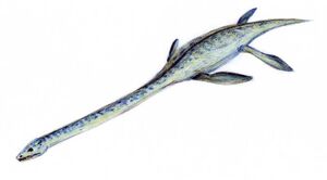 Elasmosaurus dinosaur