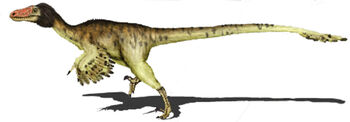 Adasaurus dinosaur.wiki