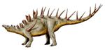 Kentrosaurus dinosaur.wiki.jpg
