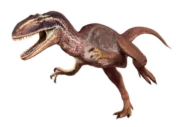 Metriacanthosaurus dinosaur.wiki