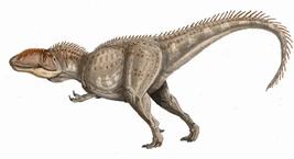 Giganotosaurus dinosaur.wiki