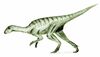 Agilisaurus dinosaur.wiki