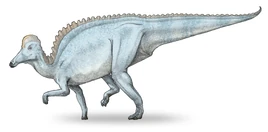 Amurosaurus dinosaur.wiki