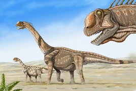 Camarasaurs dinosaur.wiki
