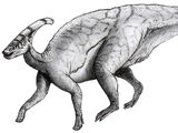 Parasaurolophus