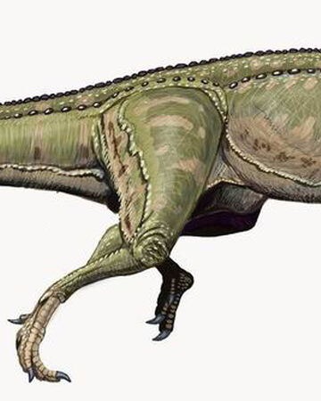 Ceratosaurus Dinosaurier Wiki Fandom