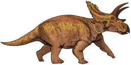 Anchiceratops dinosaur.wiki