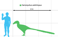 Deinonychus dinosauri