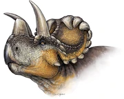 Wendiceratops'"`UNIQ--ref-00000004-QINU`"'
