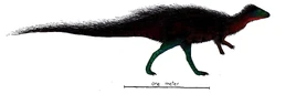 Callovosaurus dinosaur.wiki