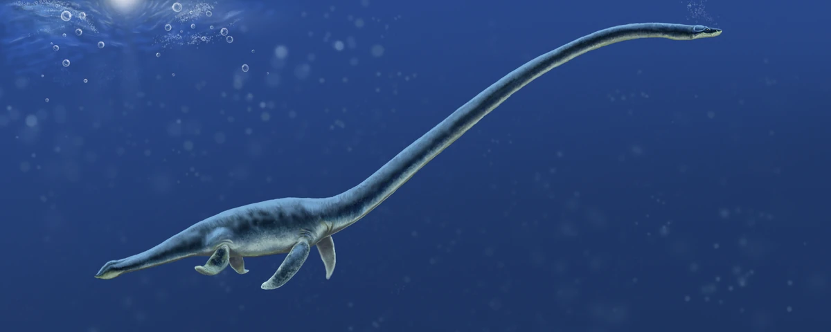 Albertonectes Dinosaurier Wiki Fandom