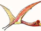 Quetzalcoatlus