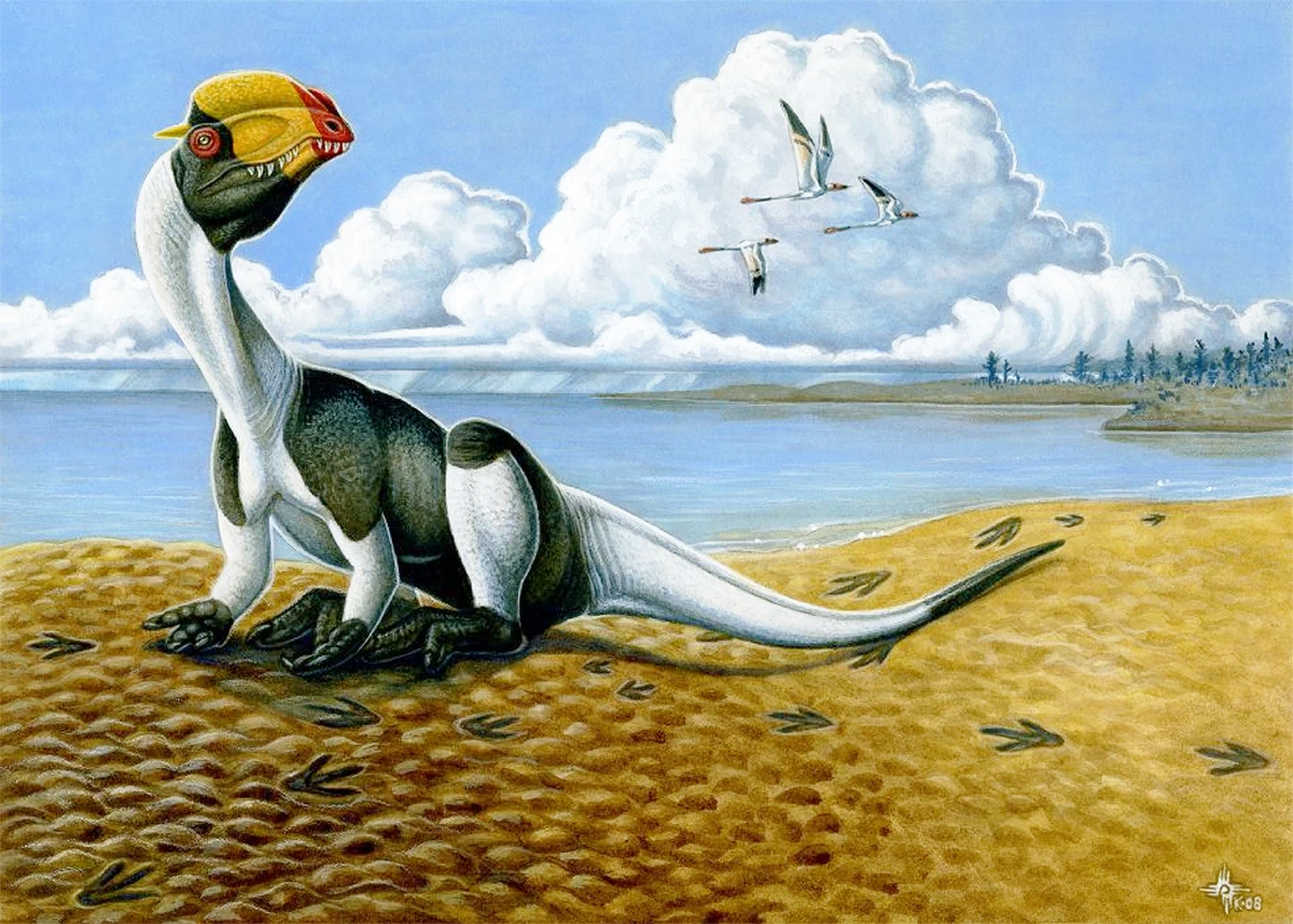 Dilophosauridae Dinosaurier Wiki Fandom