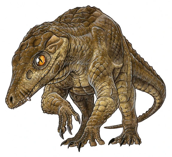 Araripesuchus Dinosaurier Wiki Fandom