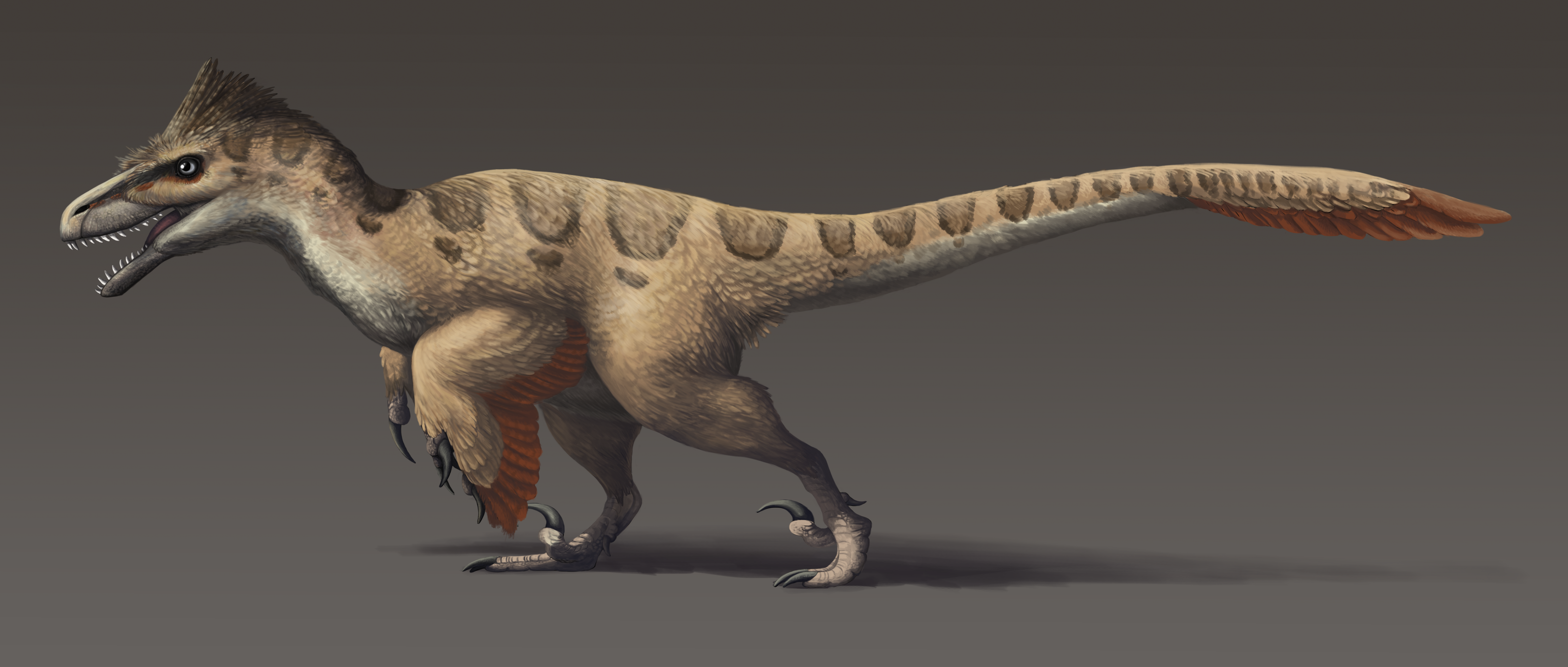 Utahraptor Dinosaurier Wiki Fandom