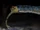 Opabinia