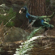 Caudipteryx