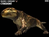 Thrinaxodon
