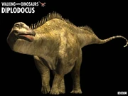Diplodocus