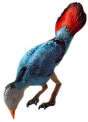Iberomesornis