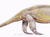 Varanops