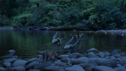 Vlcsnap-2019-12-24-03h47m06s637.png (2.46 MB)