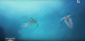 Marrella.png (1.1 MB)