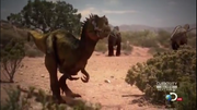 Allosaur Adult