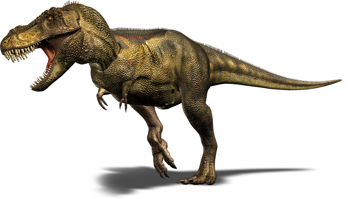 Tyrannosaurus, Dinosaur Wiki