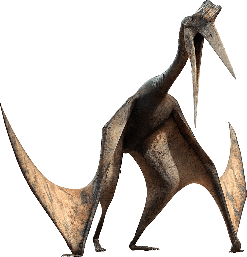 Quetzalcoatlus, Dinopedia