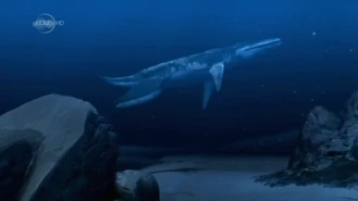 Vlcsnap-2020-12-25-07h50m02s554.png (328 KB)