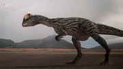 Dilophosaurus