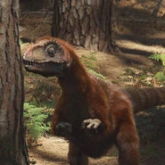 Sinosauropteryx.jpg (246 KB)