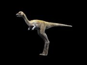 Mononykus