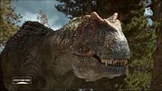 Yangchuansaurus