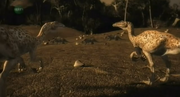 Byronosaurus 2