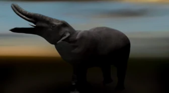 Platybelodon