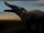 Platybelodon