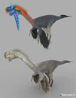 Gigantoraptors