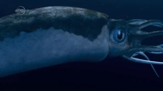 Vlcsnap-2020-12-13-13h25m24s072.png (329 KB)