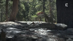 Monopholosaurus.png (2.71 MB)