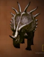 Styracosaurus