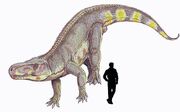 Fasolasuchus