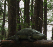 Eryops megacephalus