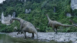 Vlcsnap-2019-12-24-08h02m40s095.png (3.04 MB)