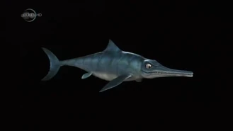 Vlcsnap-2020-12-25-07h30m26s433.png (105 KB)