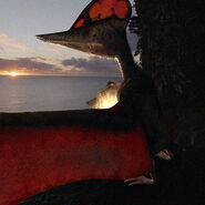 Germanodactylus.jpg (225 KB)