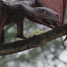 Batrachognathus