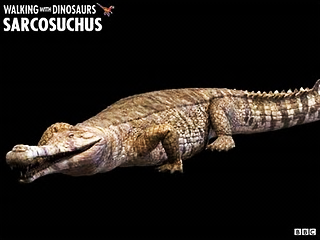 Tyrannosaurus Deinosuchus Crocodile Sarcosuchus Reptile PNG