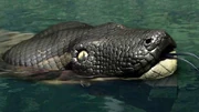 Titanoboa-7